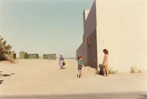 The landscape of architecture
